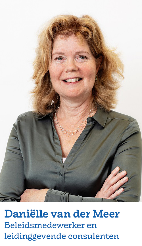 Danielle van der Meer, Beleidsmedewerker en leidinggevende consulenten