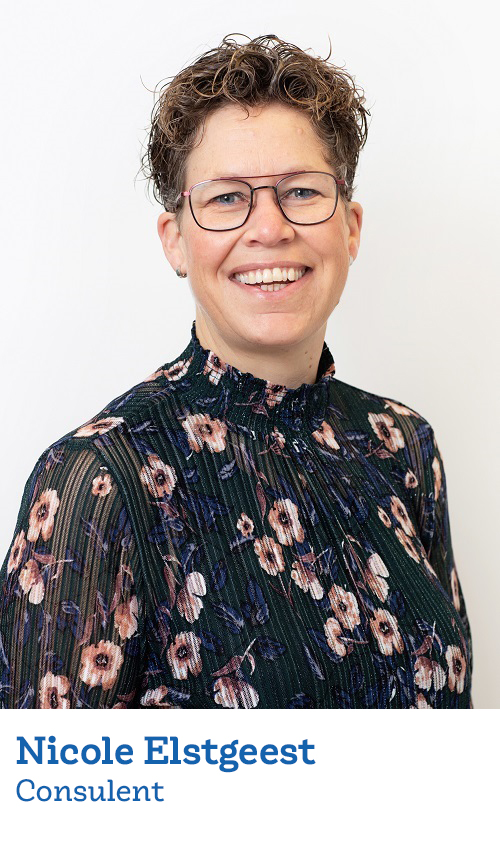 Nicole Elstgeest, Consulent